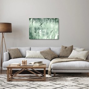 Tablou pe sticlă - Pajiște verde (70x50 cm)