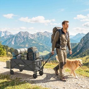 Outsunny Cărucior de Grădină 72L Pliabil cu Mâner Reglabil, din Oțel și Material Oxford, 114x46x92 cm, Negru | Aosom Romania