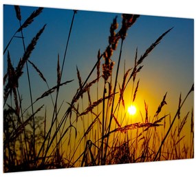 Tablou - Apus de soare pe pajiște (70x50 cm)