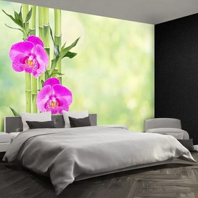 Fototapet Orchid și lemn de bambus