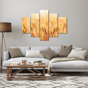 Tablou - câmp cu grâne (150x105 cm)