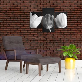 Tablou - Lalele alb negre (90x60 cm)