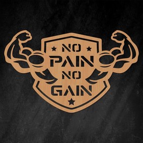 DUBLEZ | Tablou motivațional - No Pain No Gain