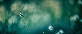 Tablou - Detaliu iarbă (120x50 cm)