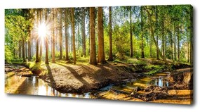 Tablou pe pânză Panorama de pădure