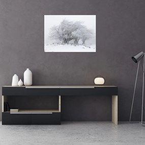 Tablou - Iarnă albă (70x50 cm)