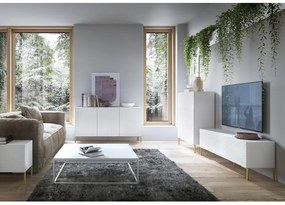 Dulap Lamellito L1  (alb + auriu). 1099057