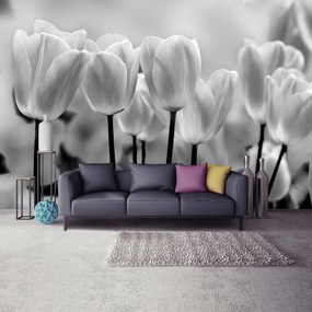 Fototapet - Lalele (152,5x104 cm)