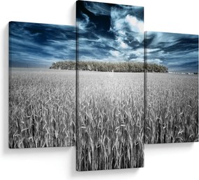 Tablou cu câmp (90x60 cm)