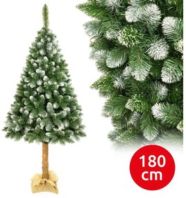 Pom de Crăciun pe trunchi 180 cm pin