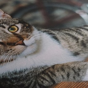 Tablou cu pisica (cu ceas) (90x30 cm)