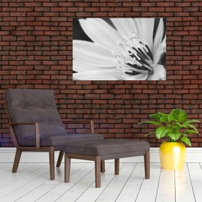 Tablou - Floare albă și neagră (90x60 cm)