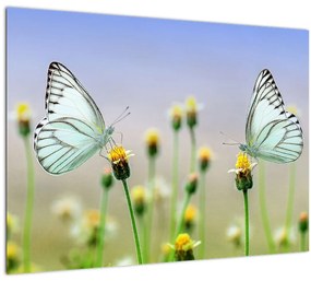 Tablou pe sticlă cu fluture pe floare (70x50 cm)