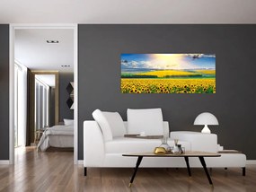 Tablou - Câmp cu floarea soarelui (120x50 cm)