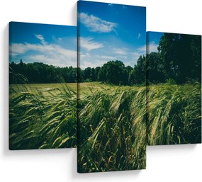Tablou cu linca și pădure (90x60 cm)