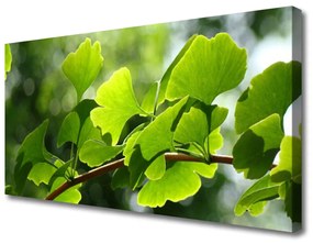 Tablou pe panza canvas Branch Frunze Floral verde maro