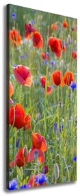 Tablou pe pânză Wildflowers maci