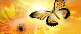 Tablou - Fluture galben cu flori (120x50 cm)