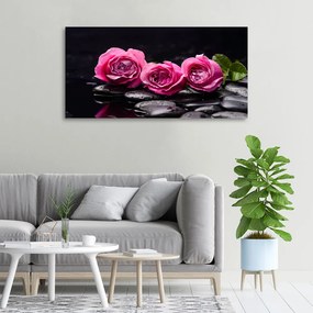 Tablou pe pânză canvas Trandafiri roz