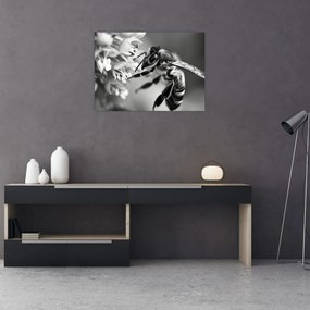 Tablou pe sticlă - Detaliu de albină (70x50 cm)
