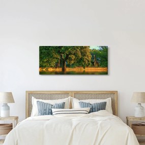 Tablou cu girafe în natură (120x50 cm)