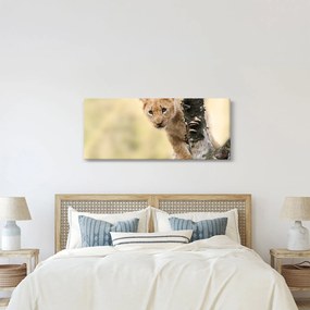 Tablou cu pui de leu (120x50 cm)