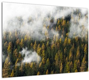 Tablou pe sticlă - Pădure în nori (70x50 cm)