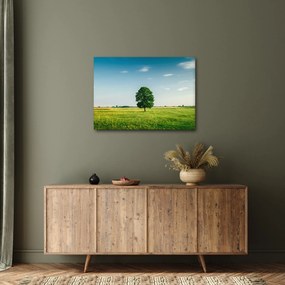 Tablou cu copaci pe luncă (70x50 cm)