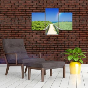 Tablou - Peisaj și curcubeu (90x60 cm)