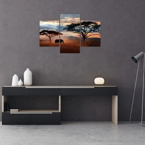 Tablou - Parcul Național Serengeti, Tanzania, Africa (90x60 cm)