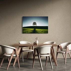 Tablou cu natura - copac (90x60 cm)