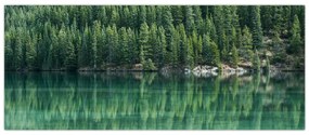 Tablou - Coniferi lângă lac (120x50 cm)