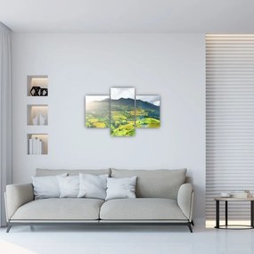 Tablou plantație (90x60 cm)