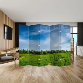 Paravan - Luncă (210x170 cm)