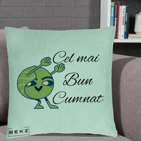 Cadou pentru Cumnat - Perna Personalizata Cel mai Bun Cumnat cu Personaj Funny Verde, 40x40 cm, Verde Menta, Husa Detasabila, Perna Inclusa, BEKZ®