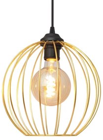 Lustră pe cablu MERCURE 3xE27/15W/230V auriu/negru