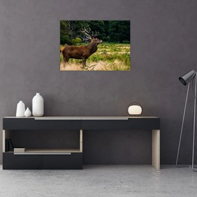 Tablou pe sticlă cu cerb (70x50 cm)