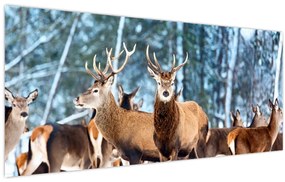 Tablou - Turma de căprioare (120x50 cm)