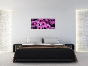 Tablou cu florile roz (120x50 cm)