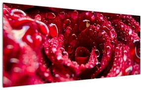 Tablou cu floarea trandafirului roșu (120x50 cm)