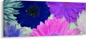 Tablou cu flori colorate (120x50 cm)