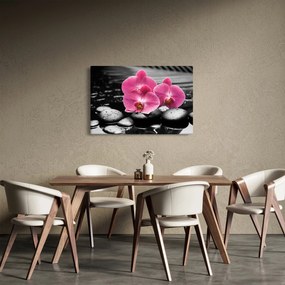 Tablou - Orhidee roz (90x60 cm)