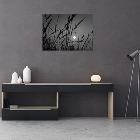 Tablou pe sticlă - Pajiște cu apus de soare (70x50 cm)