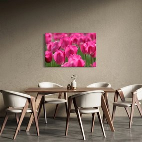 Tablou - Lalele roz (90x60 cm)