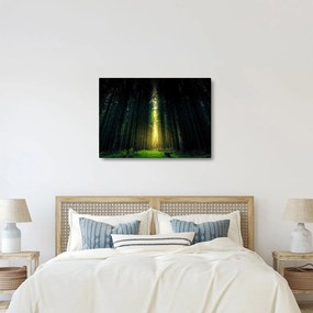 Tablou cu pădurea întunecată (70x50 cm)