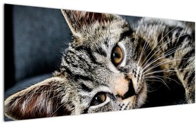 Tablou - Pisoi (120x50 cm)