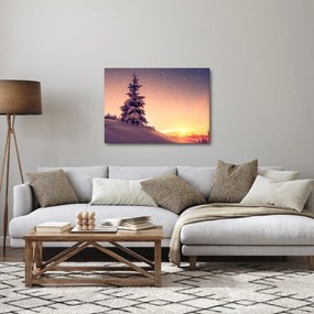 Tablou cu copac înzăpezit pe luncă (70x50 cm)