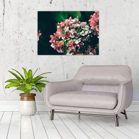 Tablou pe sticlă - Hortensie (70x50 cm)