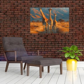 Tablou - Girafe pe pășune (90x60 cm)