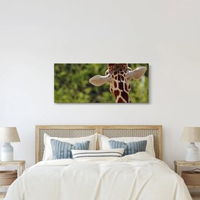 Tablou cu girafă din spate (120x50 cm)